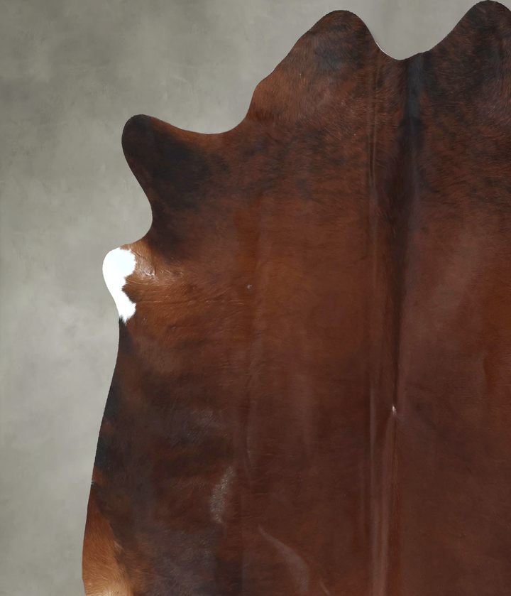 Warm Caramel XX-Large Brazilian Cowhide Rug 7'6"H x 7'1"W #B20504 by Hudson Hides