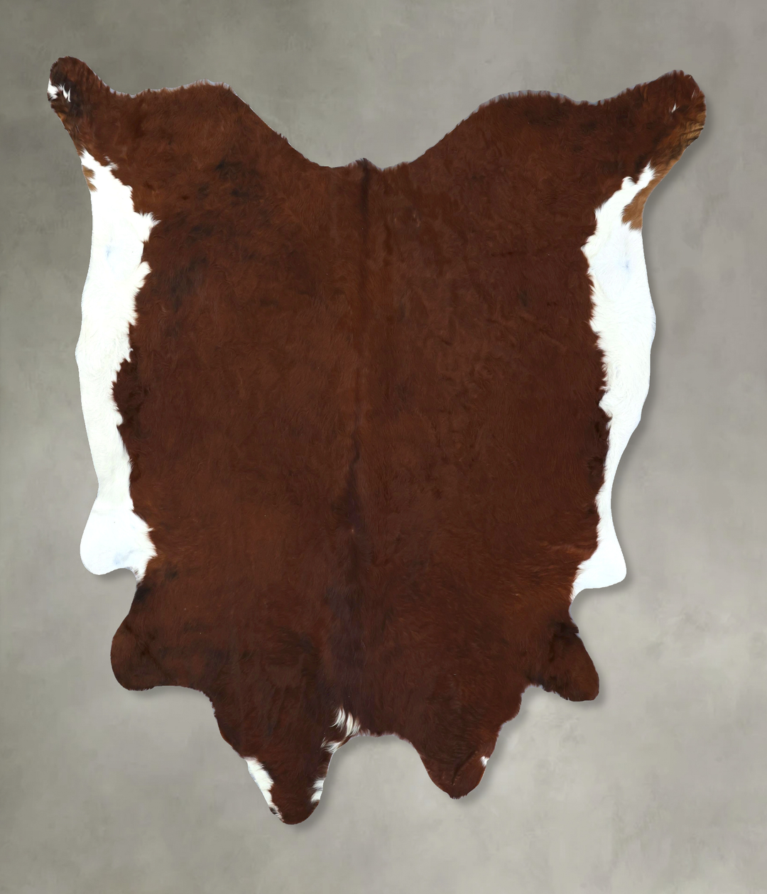 Brown and White Regular XX-Large Brazilian Cowhide Rug 7'7"H x 7'4"W #
