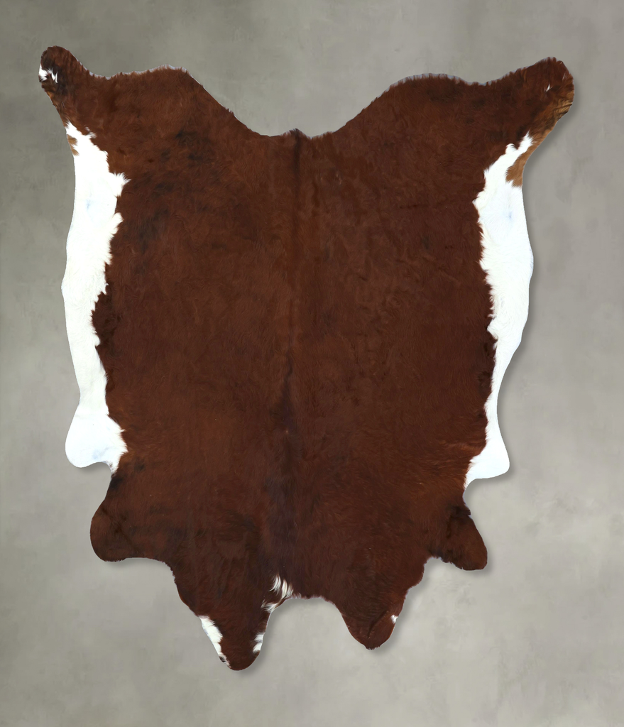 Brown and White Regular XX-Large Brazilian Cowhide Rug 7'7"H x 7'4"W #B20507 by Hudson Hides