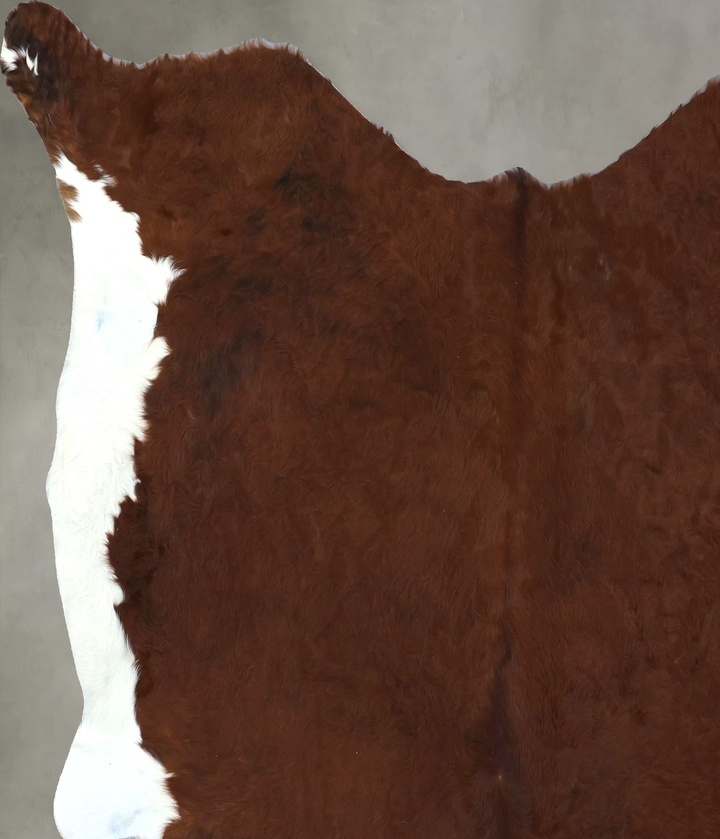 Brown and White Regular XX-Large Brazilian Cowhide Rug 7'7"H x 7'4"W #B20507 by Hudson Hides