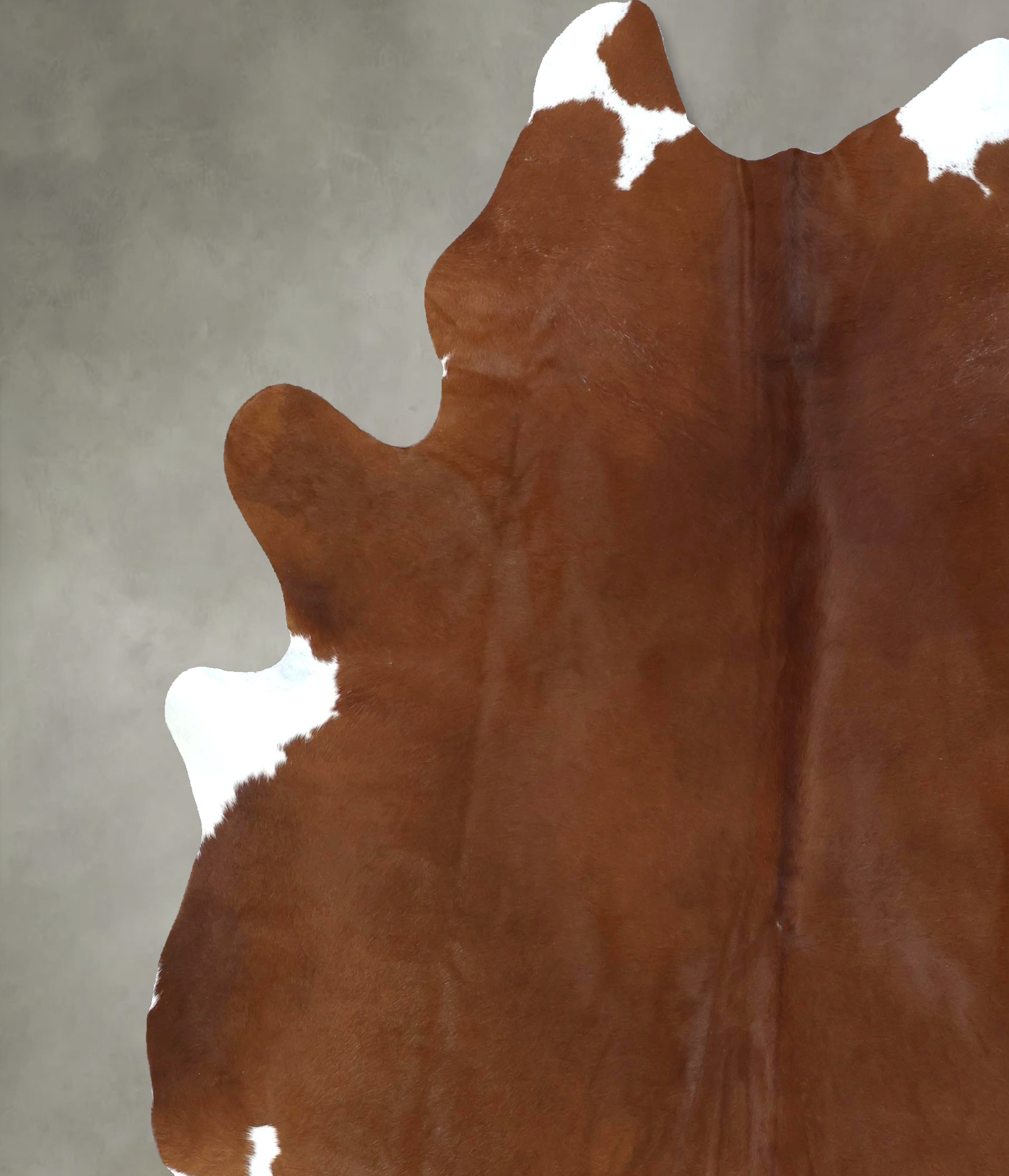 Brown and White Regular Cowhide Rug #B20510