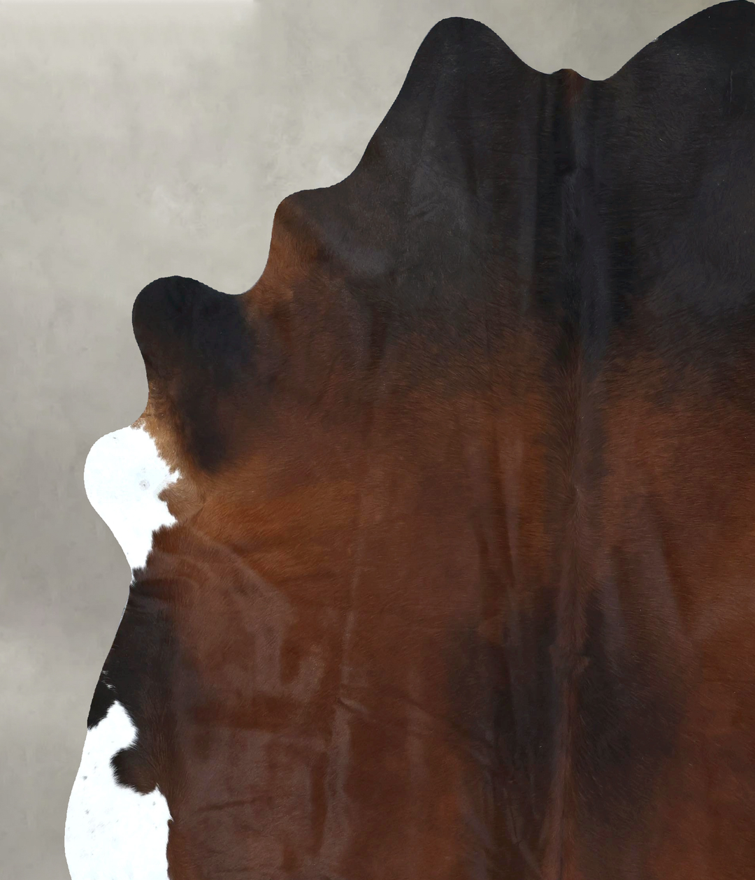 Warm Caramel XX-Large Brazilian Cowhide Rug 8'7"H x 7'6"W #B20511 by H