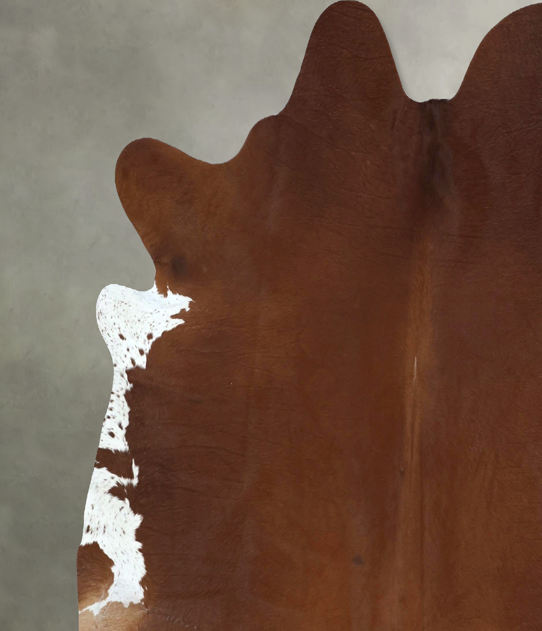 Brown and White Regular XX-Large Brazilian Cowhide Rug 7'11"H x 7'4"W 