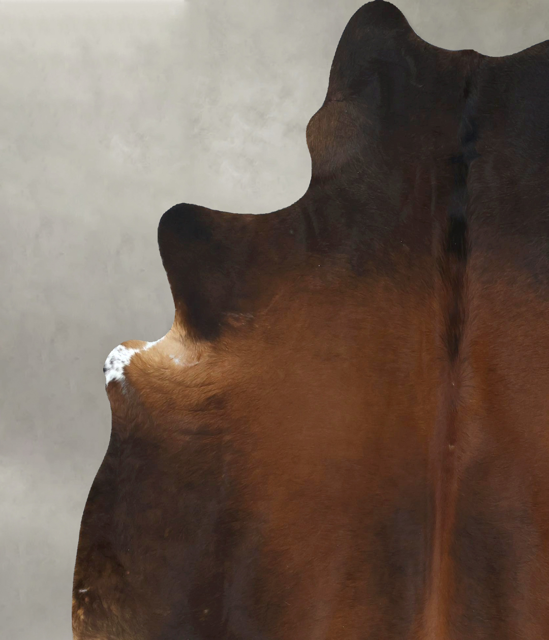 Warm Caramel XX-Large Brazilian Cowhide Rug 7'9"H x 6'7"W #B20513 by H