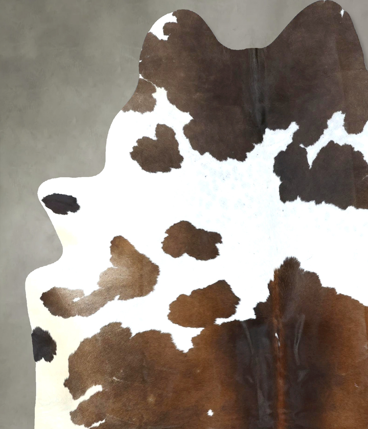 Chocolate and White X-Large Brazilian Cowhide Rug 7'9"H x 6'3"W #B20515 by Hudson Hides