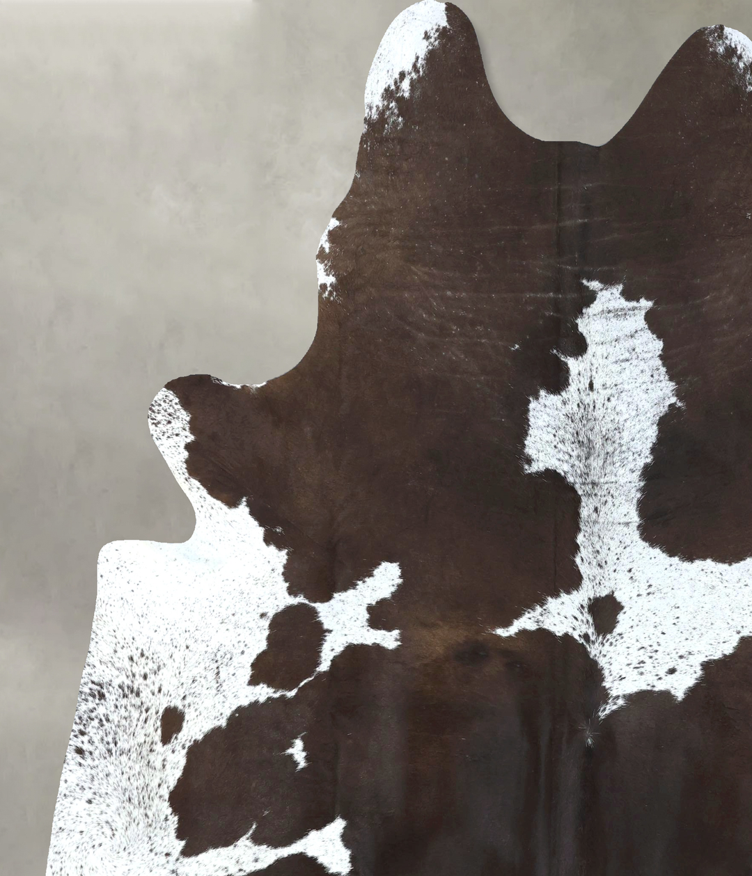 Chocolate and White XX-Large Brazilian Cowhide Rug 8'2"H x 6'11"W #B20