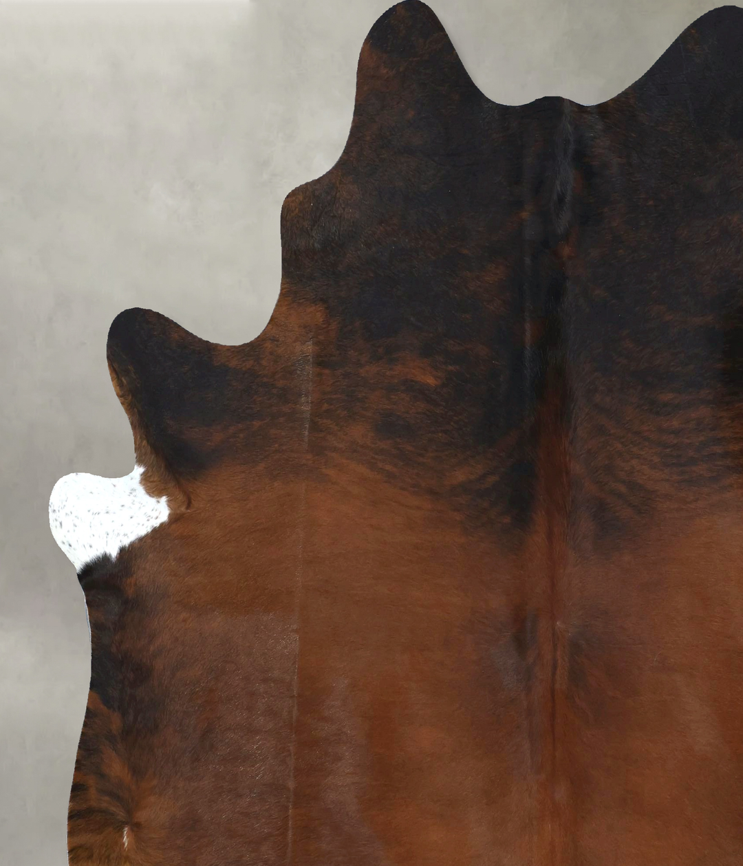 Warm Caramel XX-Large Brazilian Cowhide Rug 7'9"H x 6'8"W #B20520 by H