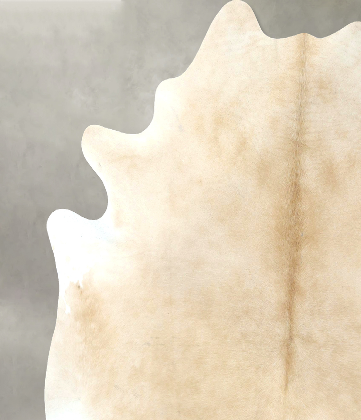 Palomino XX-Large Brazilian Cowhide Rug 7'9"H x 6'8"W #B20523 by Hudson Hides