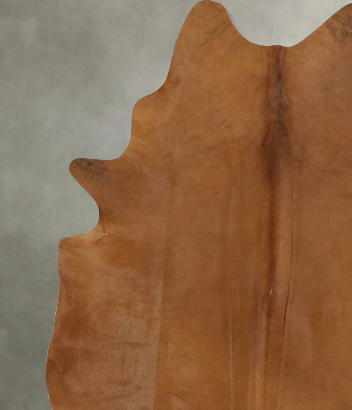 Solid Brown XX-Large Brazilian Cowhide Rug 8'8"H x 6'8"W #B20531 by Hudson Hides