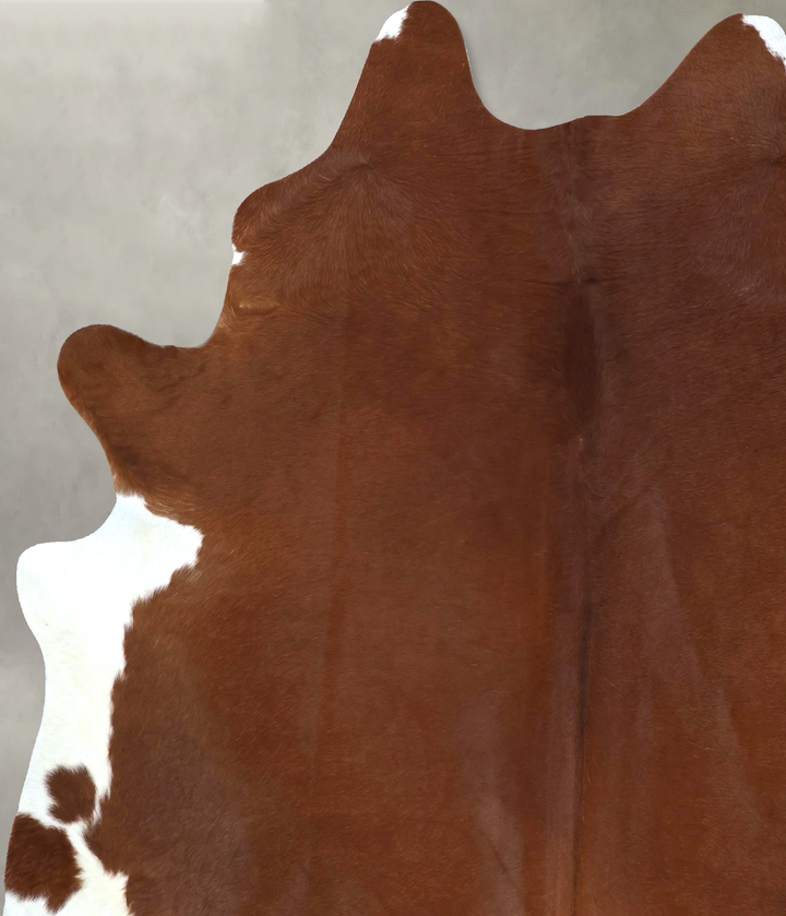 Brown and White Regular XX-Large Brazilian Cowhide Rug 8'4"H x 6'9"W #B20533 by Hudson Hides