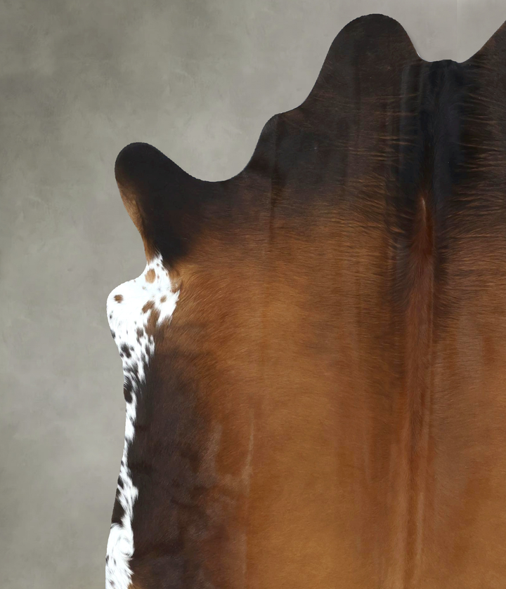 Warm Caramel X-Large Brazilian Cowhide Rug 7'2"H x 6'4"W #B20534 by Hudson Hides