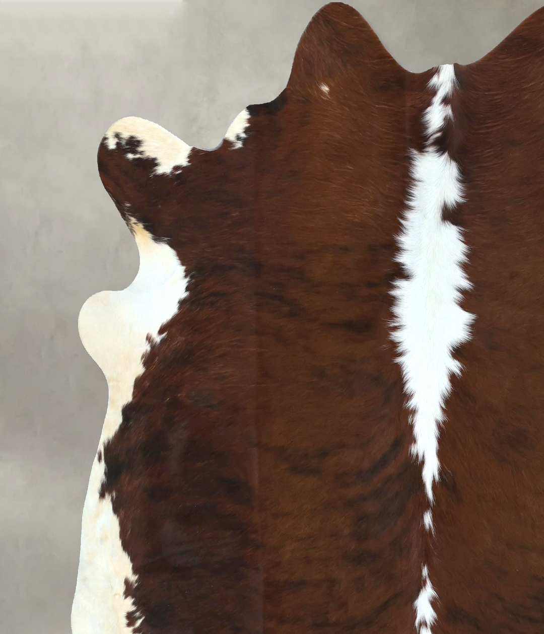 Tricolor X-Large Brazilian Cowhide Rug 7'0"H x 6'6"W #B20535 by Hudson