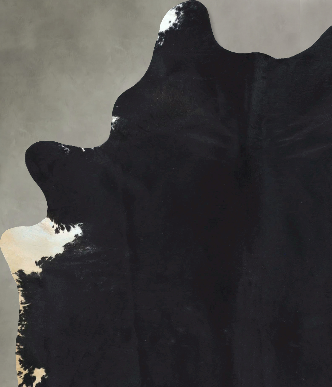 Solid Black XX-Large Brazilian Cowhide Rug 8'2"H x 6'2"W #B20541 by Hu