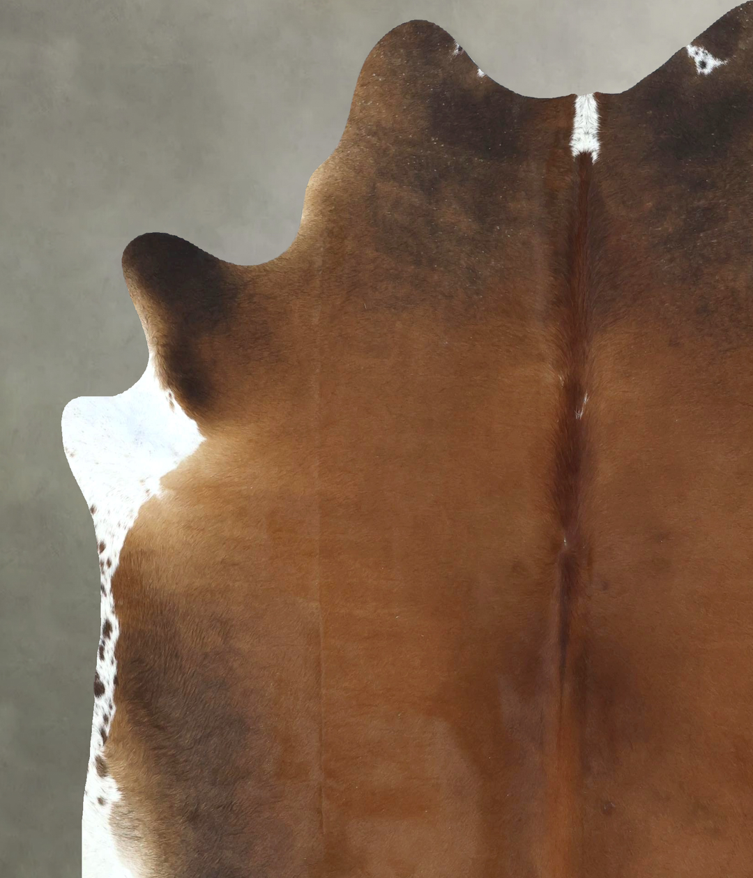 Warm Caramel X-Large Brazilian Cowhide Rug 7'6"H x 6'5"W #B20545 by Hu