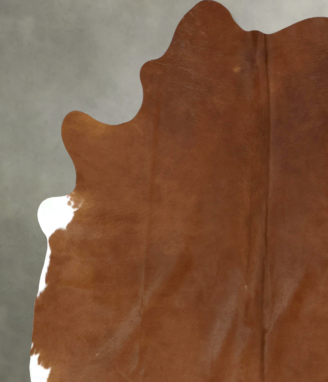 Solid Brown XX-Large Brazilian Cowhide Rug 7'11"H x 6'8"W #B20546 by H