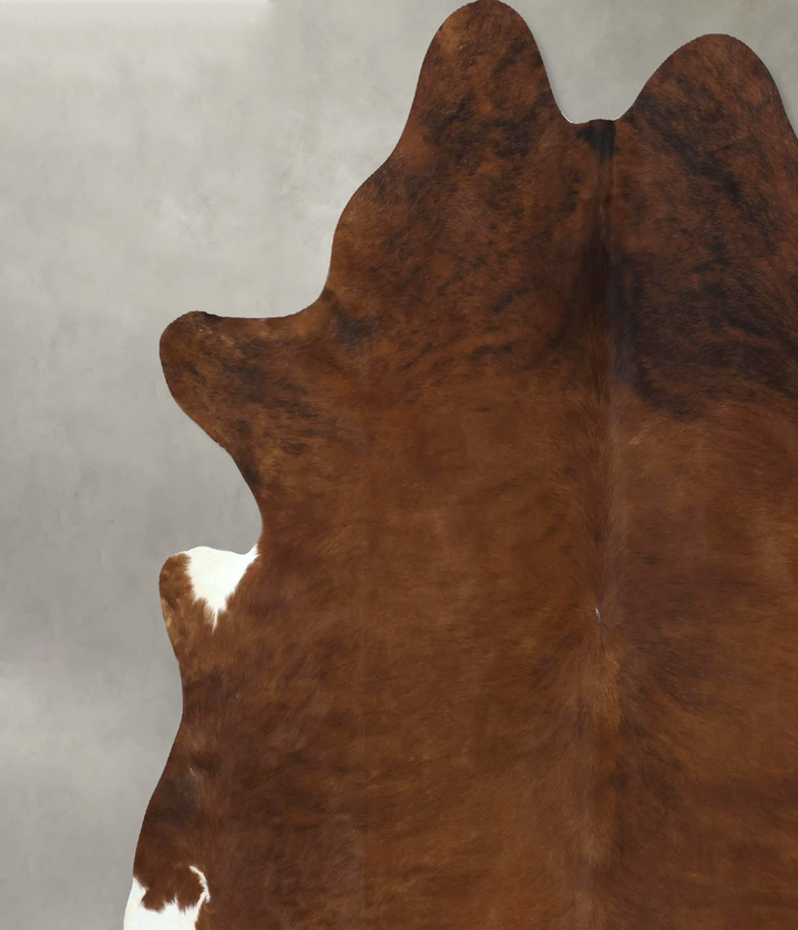 Medium Brindle XX-Large Brazilian Cowhide Rug 7'7"H x 6'11"W #B20549 by Hudson Hides