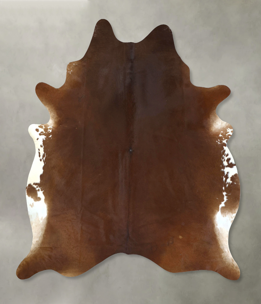 Warm Caramel XX-Large Brazilian Cowhide Rug 8'8"H x 7'4"W #B20550 by Hudson Hides