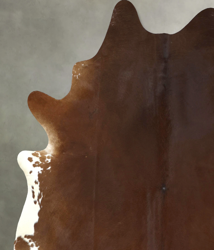 Warm Caramel XX-Large Brazilian Cowhide Rug 8'8"H x 7'4"W #B20550 by Hudson Hides