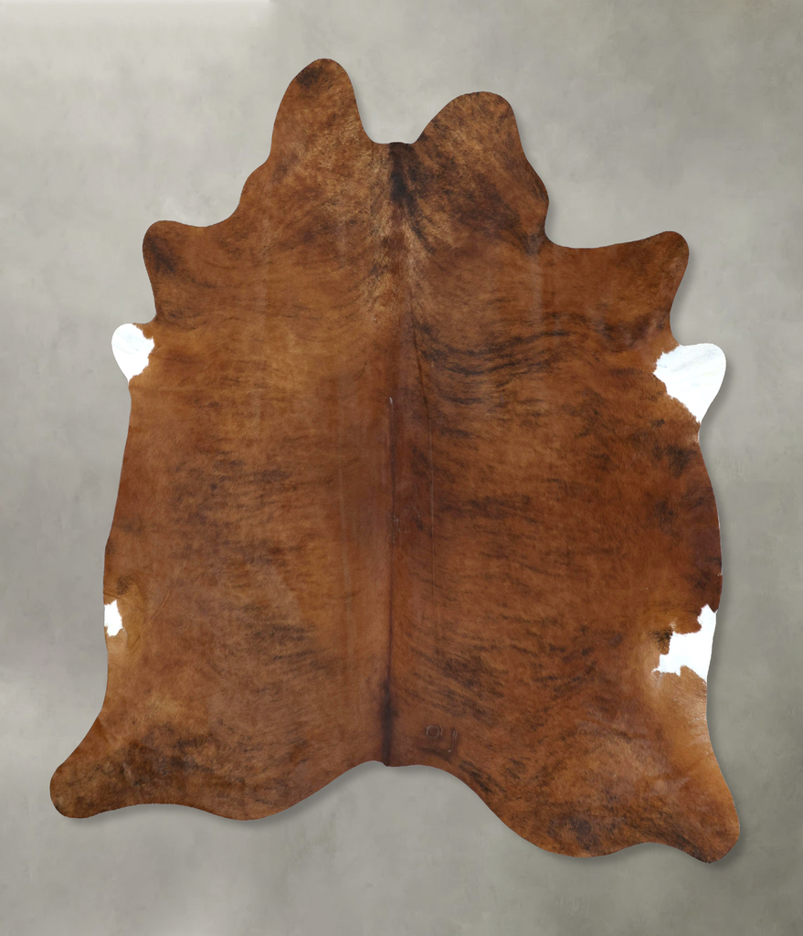 Medium Brindle XX-Large Brazilian Cowhide Rug 8'3"H x 6'10"W #B20555 by Hudson Hides