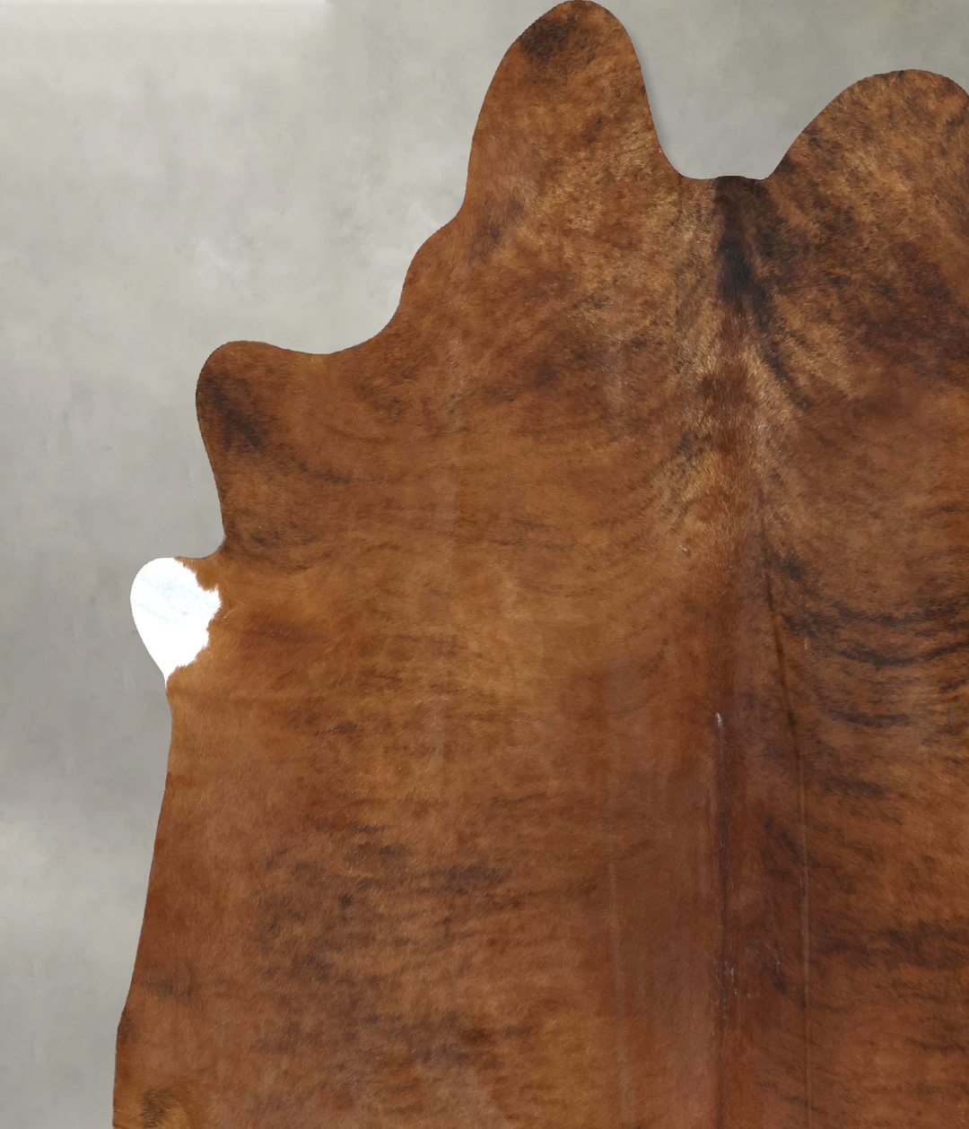 Medium Brindle XX-Large Brazilian Cowhide Rug 8'3"H x 6'10"W #B20555 b