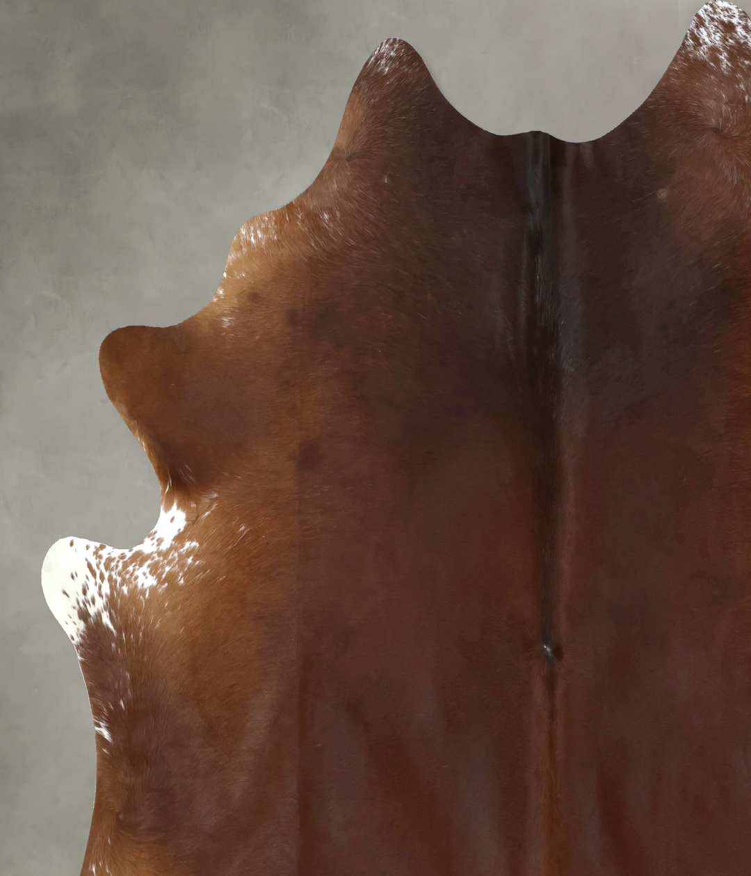Warm Caramel XX-Large Brazilian Cowhide Rug 7'10"H x 7'0"W #B20557 by 