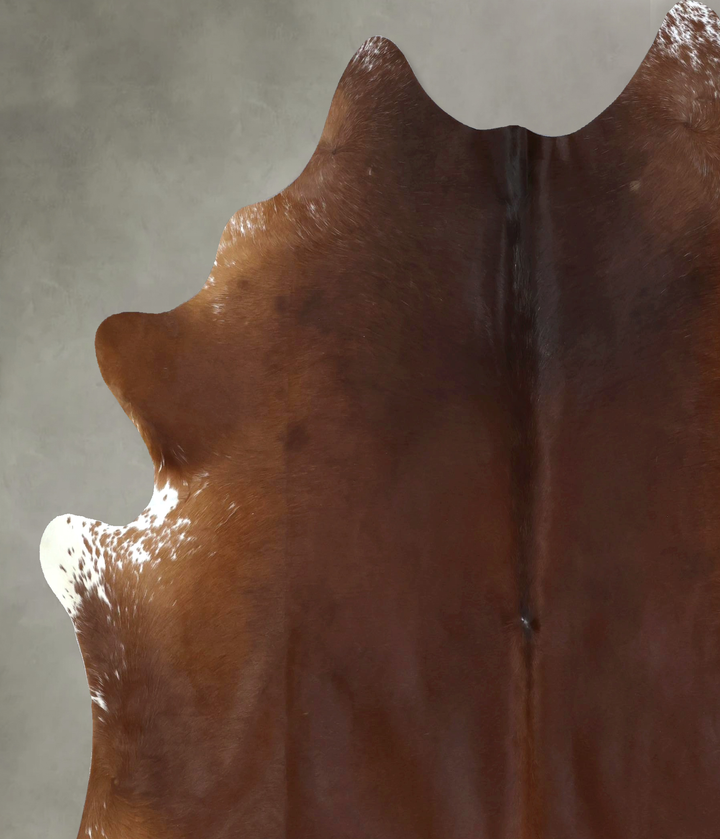 Warm Caramel XX-Large Brazilian Cowhide Rug 7'10"H x 7'0"W #B20557 by Hudson Hides