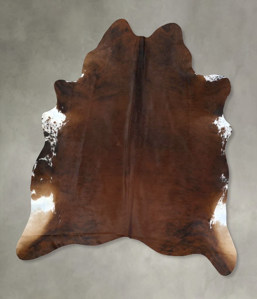 Medium Brindle X-Large Brazilian Cowhide Rug 7'10"H x 6'2"W #B20558 by Hudson Hides