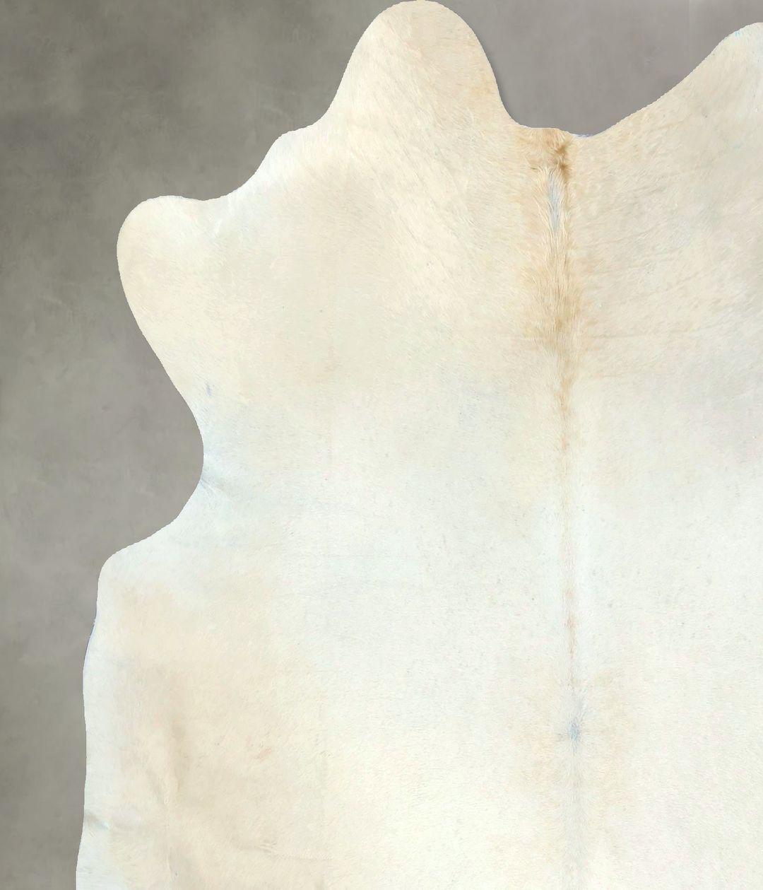 Ivory with Beige X-Large Brazilian Cowhide Rug 7'0"H x 6'8"W #B20559 b