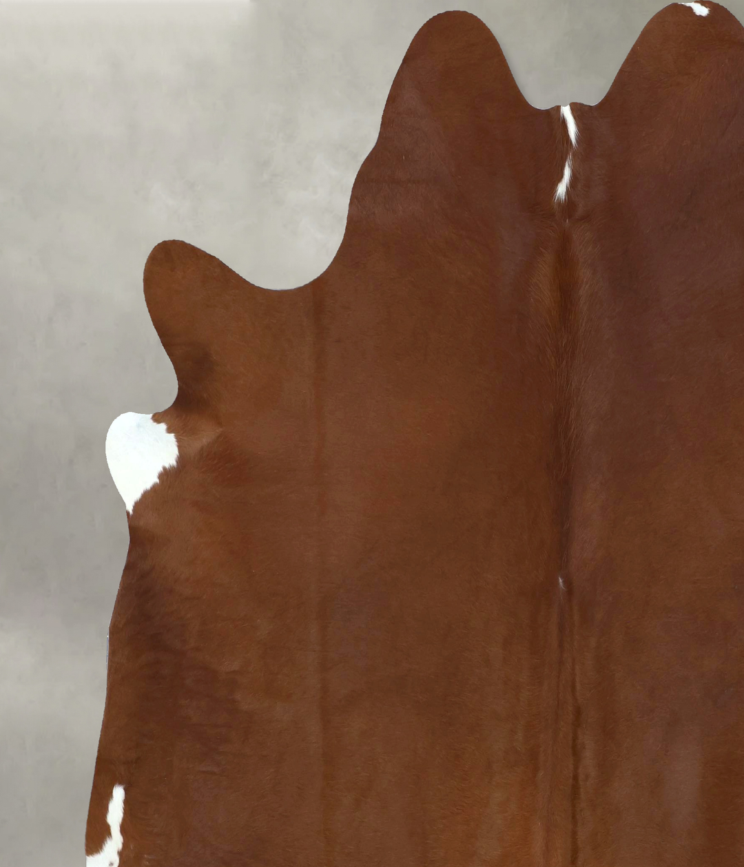 Solid Brown XX-Large Brazilian Cowhide Rug 7'11"H x 6'11"W #B20560 by 