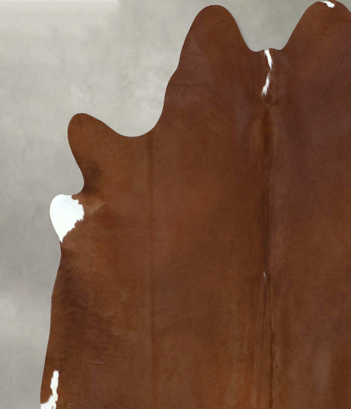 Solid Brown XX-Large Brazilian Cowhide Rug 7'11"H x 6'11"W #B20560 by Hudson Hides