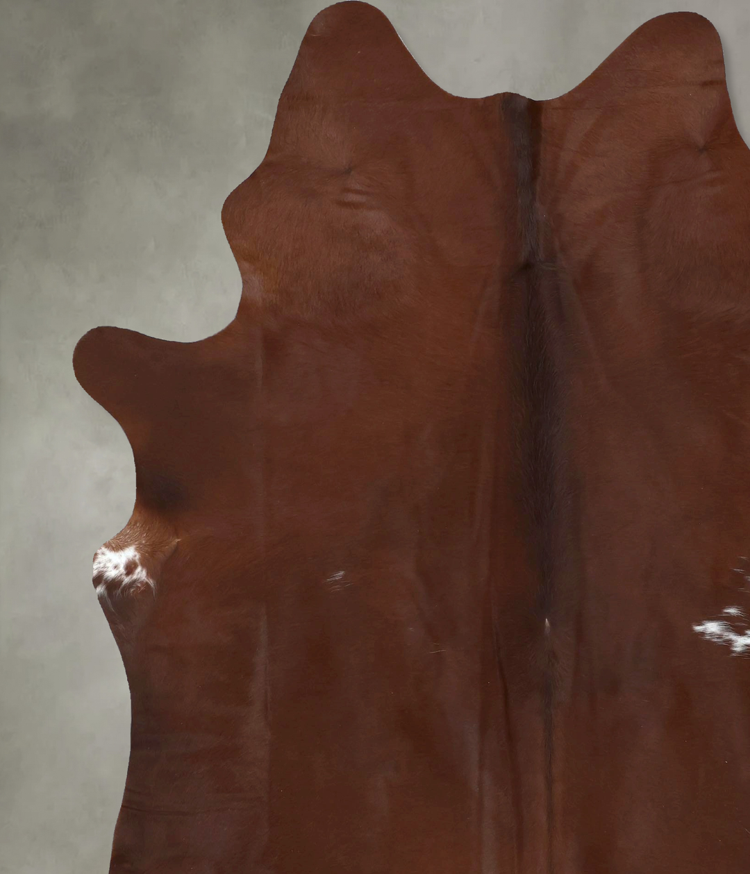Solid Brown XX-Large Brazilian Cowhide Rug 8'0"H x 6'5"W #B20572 by Hu