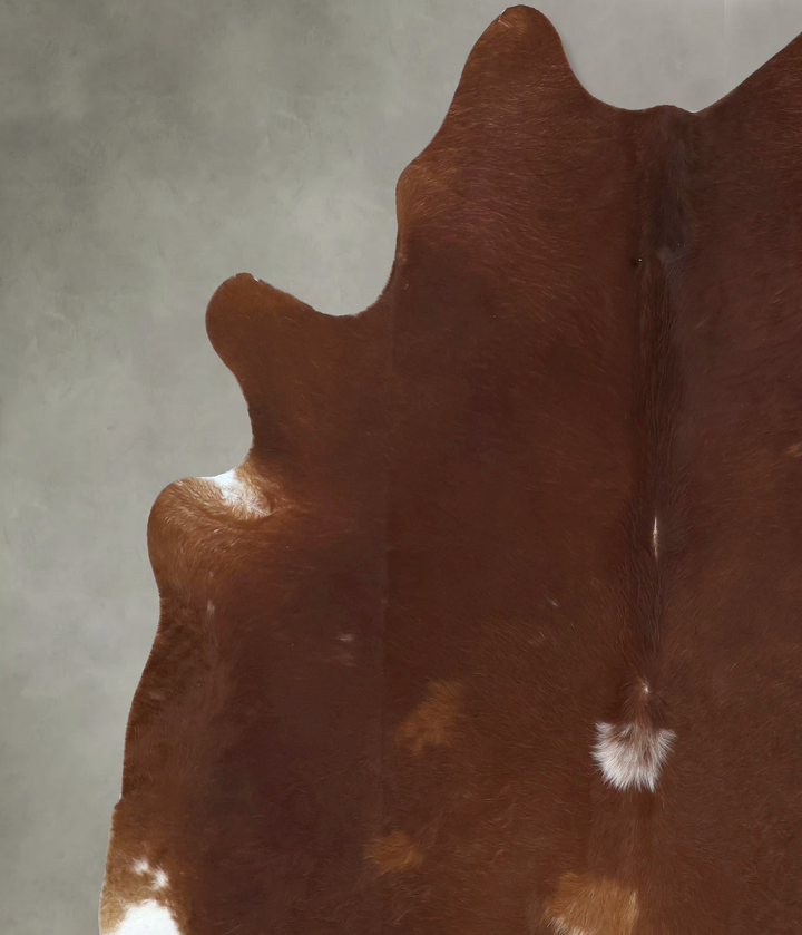 Solid Brown XX-Large Brazilian Cowhide Rug 8'0"H x 7'0"W #B20575 by Hudson Hides