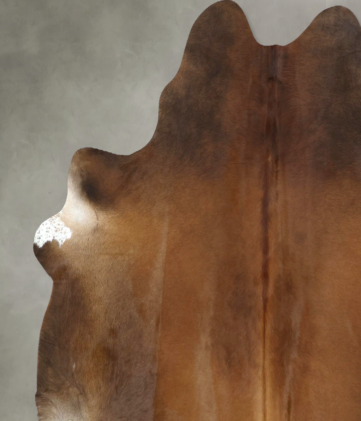 Warm Caramel XX-Large Brazilian Cowhide Rug 7'6"H x 6'11"W #B20576 by Hudson Hides