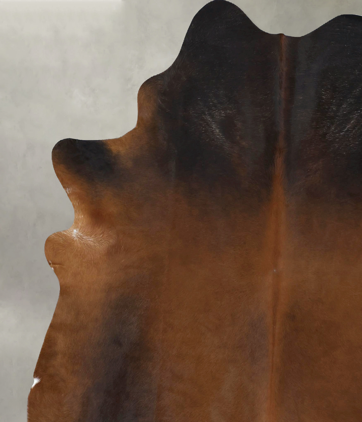 Warm Caramel XX-Large Brazilian Cowhide Rug 8'2"H x 6'10"W #B20577 by Hudson Hides