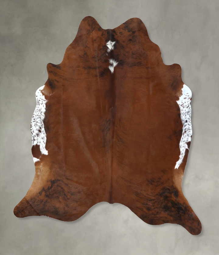 Medium Brindle X-Large Brazilian Cowhide Rug 7'6"H x 6'4"W #B20583 by Hudson Hides