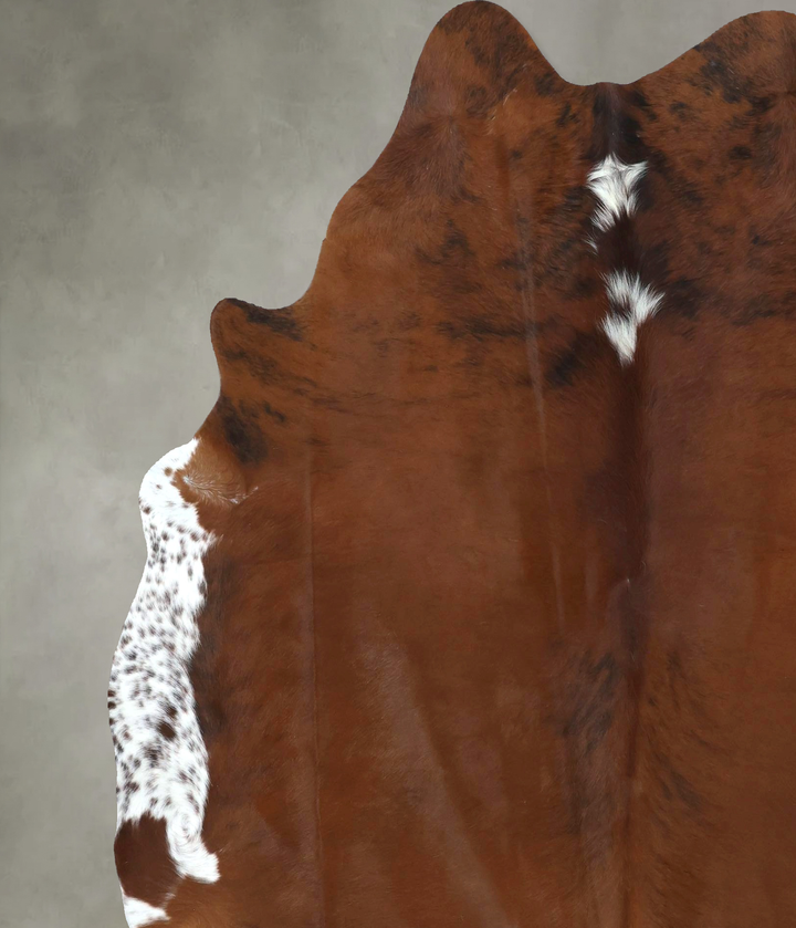 Medium Brindle X-Large Brazilian Cowhide Rug 7'6"H x 6'4"W #B20583 by Hudson Hides