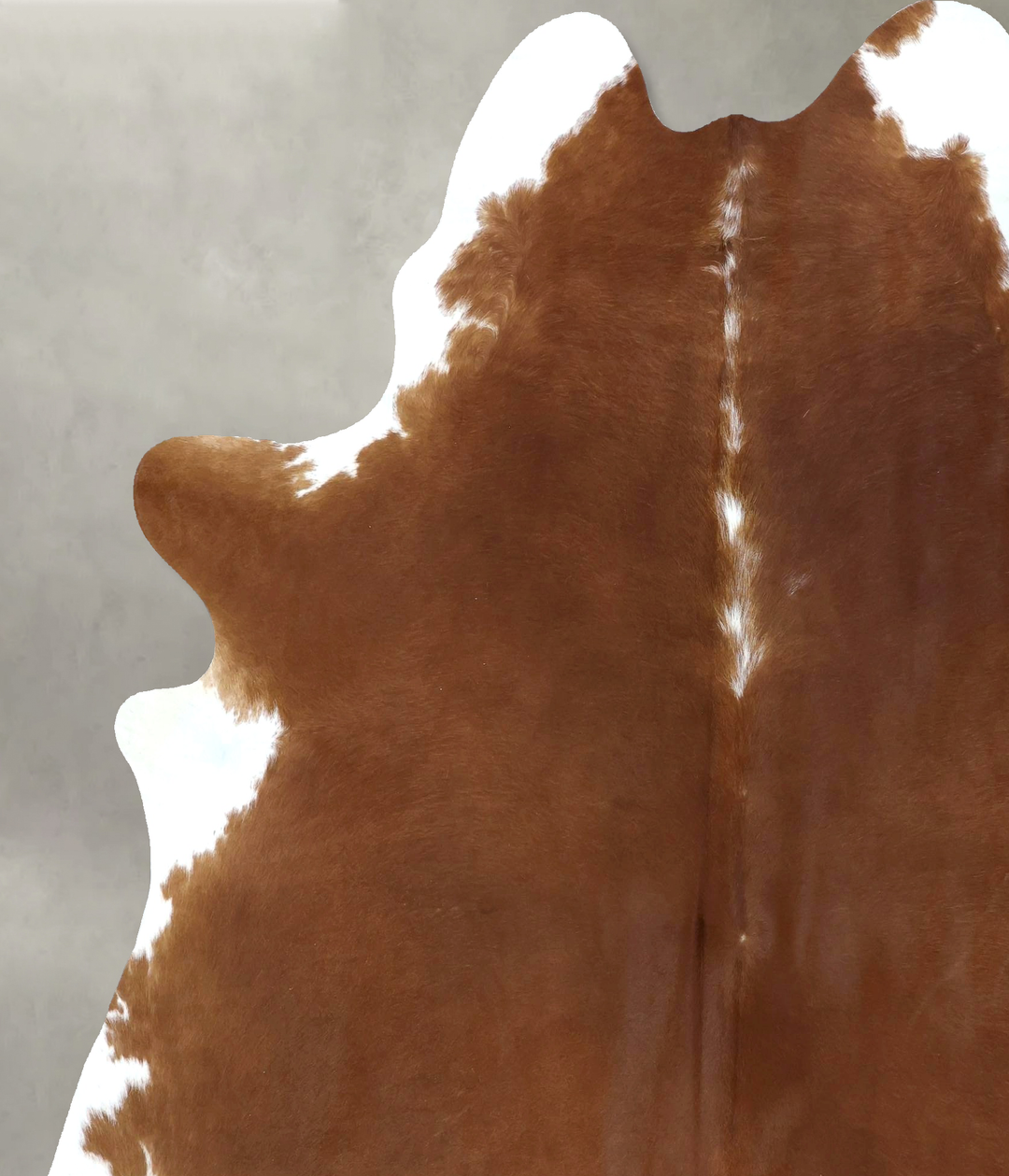 Brown and White Regular XX-Large Brazilian Cowhide Rug 7'8"H x 6'7"W #