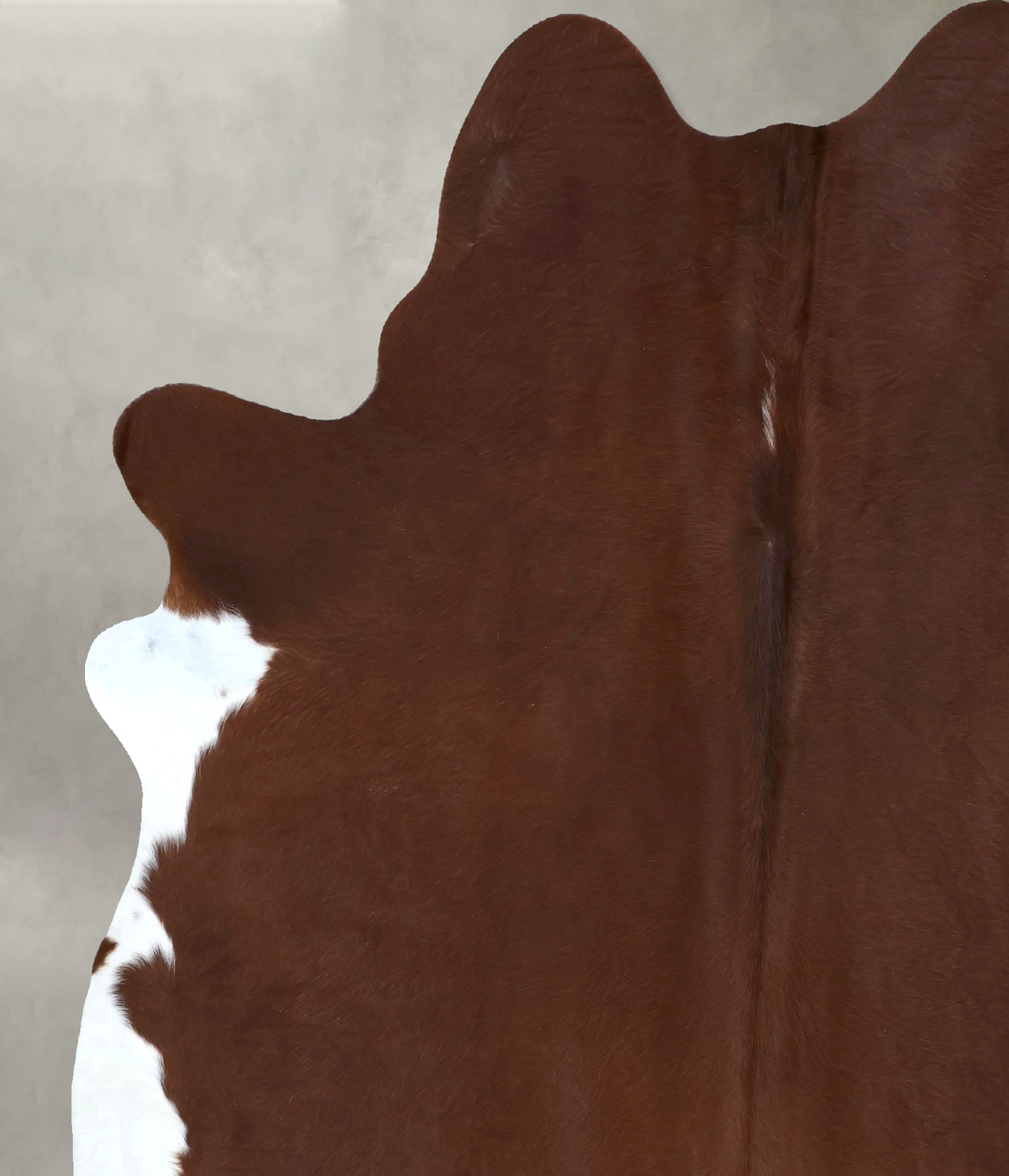 Solid Brown X-Large Brazilian Cowhide Rug 7'7"H x 6'5"W #B20592 by Hud
