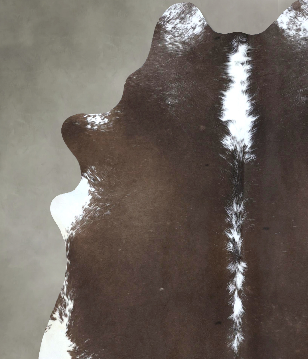 Chocolate and White X-Large Brazilian Cowhide Rug 7'4"H x 6'4"W #B2059