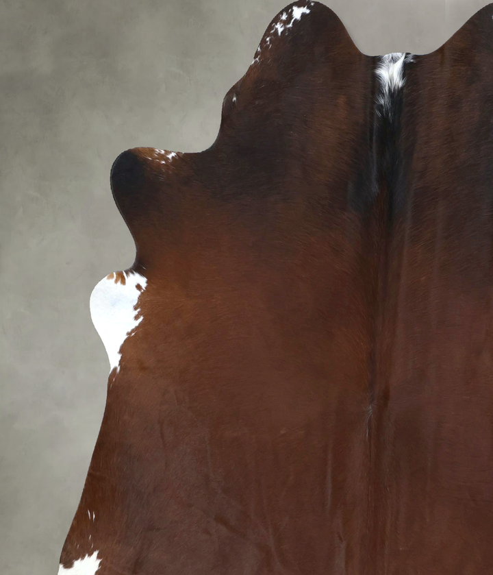 Warm Caramel X-Large Brazilian Cowhide Rug 7'4"H x 6'4"W #B20601 by Hudson Hides