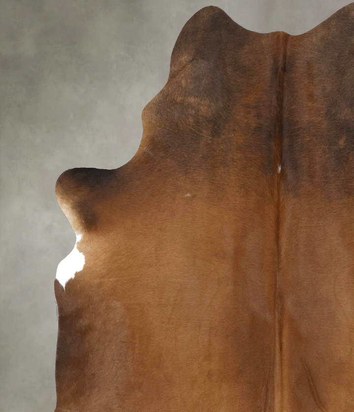 Warm Caramel X-Large Brazilian Cowhide Rug 7'4"H x 6'1"W #B20602 by Hudson Hides