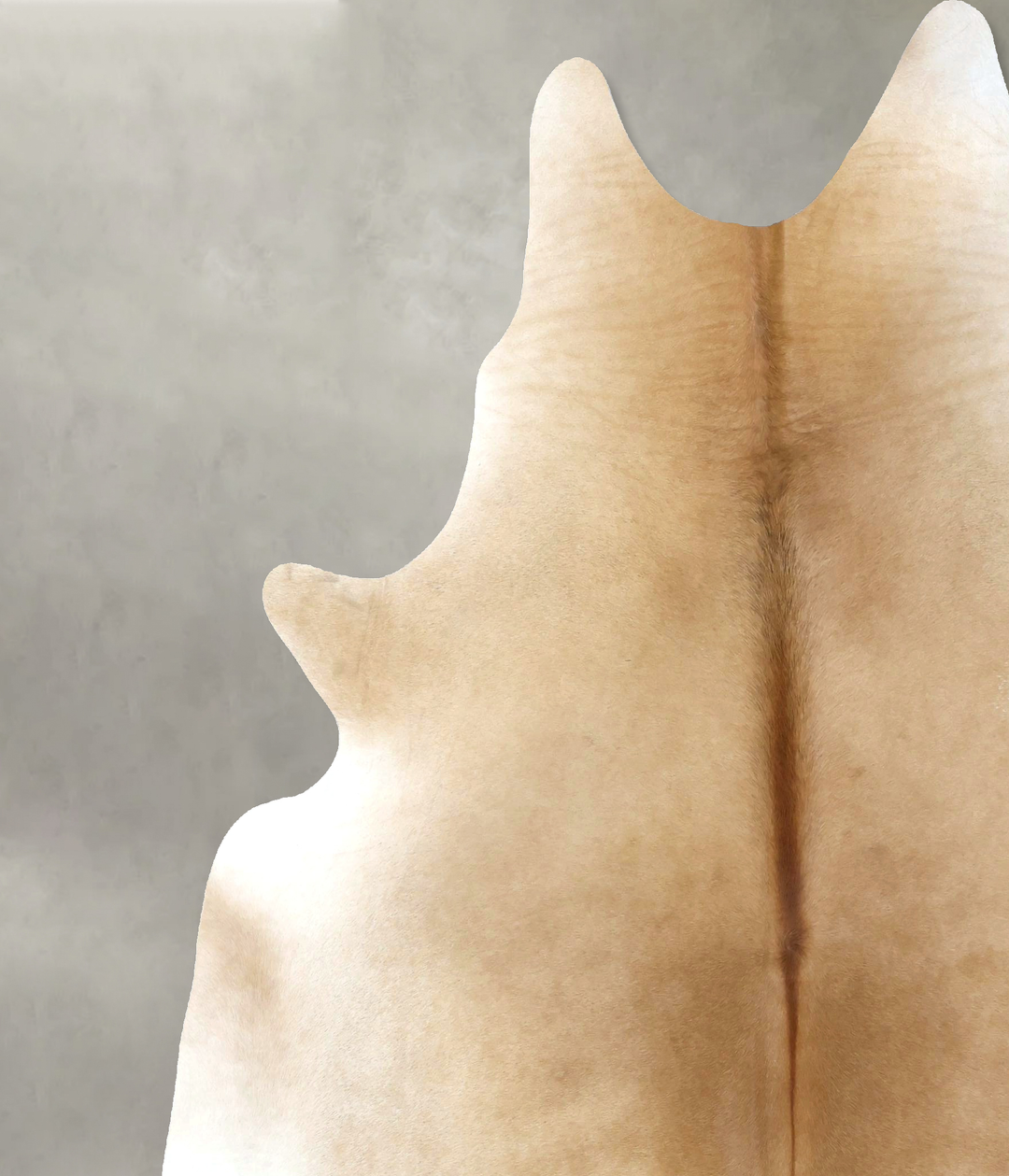 Beige XX-Large Brazilian Cowhide Rug 8'3"H x 7'0"W #B20627 by Hudson H