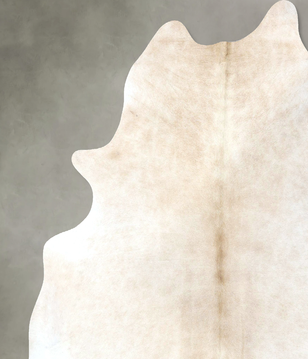 Ivory with Beige XX-Large Brazilian Cowhide Rug 7'11"H x 6'10"W #B2063