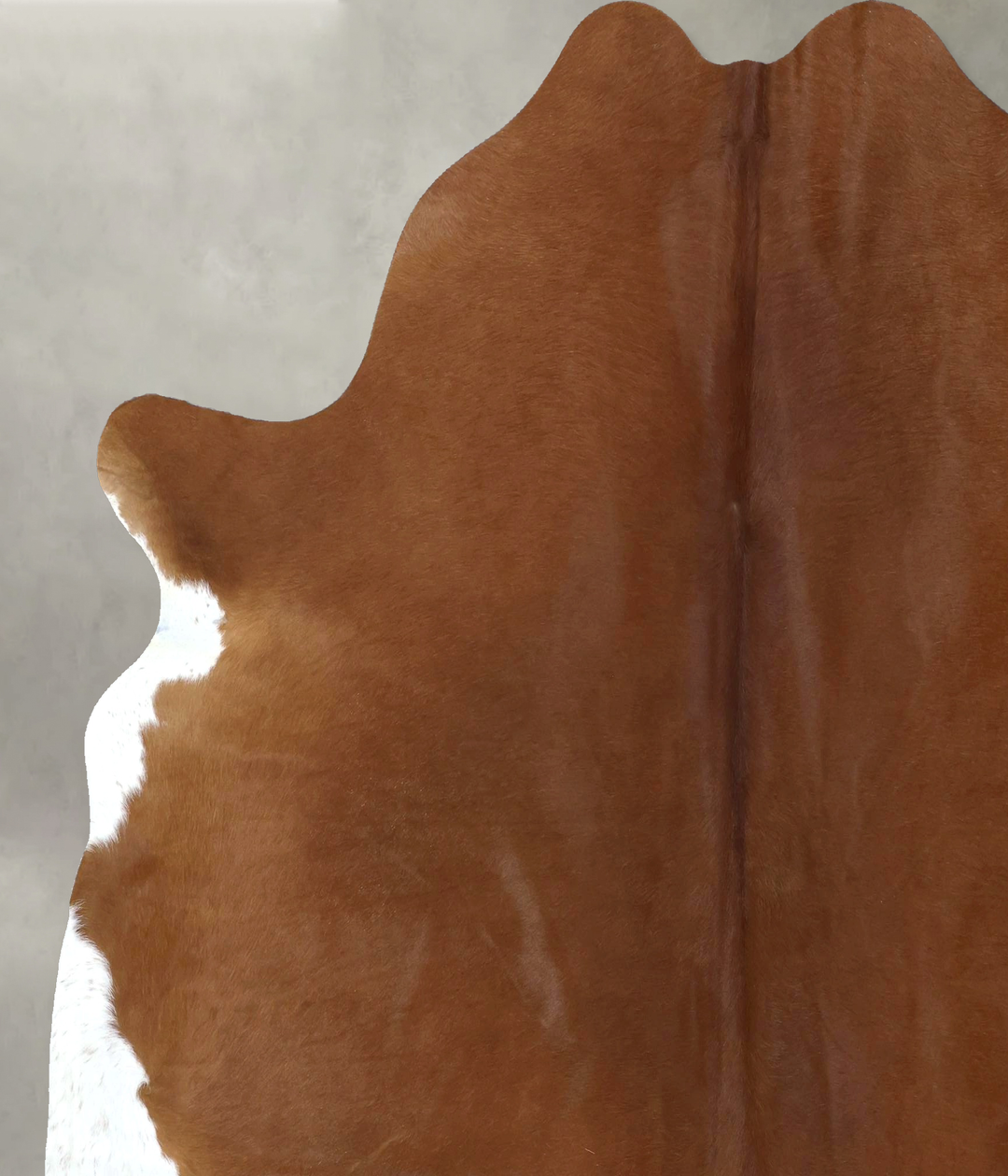 Solid Brown XX-Large Brazilian Cowhide Rug 7'5"H x 6'9"W #B20632 by Hu