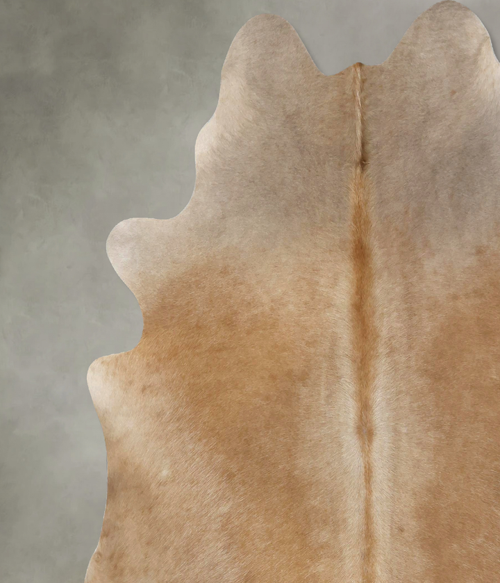 Light Caramel XX-Large Brazilian Cowhide Rug 7'6"H x 7'0"W #B20636 by Hudson Hides