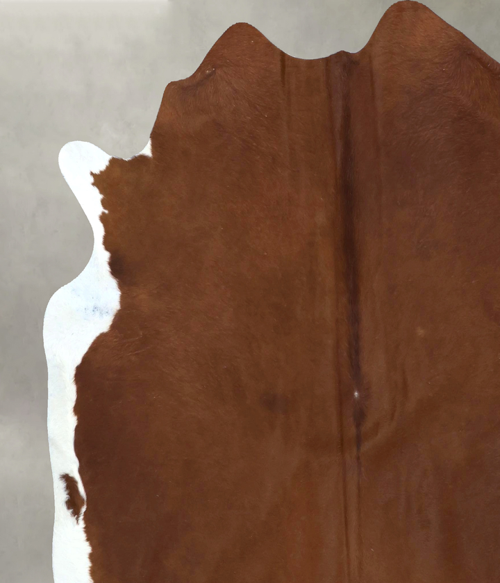 Brown and White Regular X-Large Brazilian Cowhide Rug 6'11"H x 6'10"W #B20637 by Hudson Hides