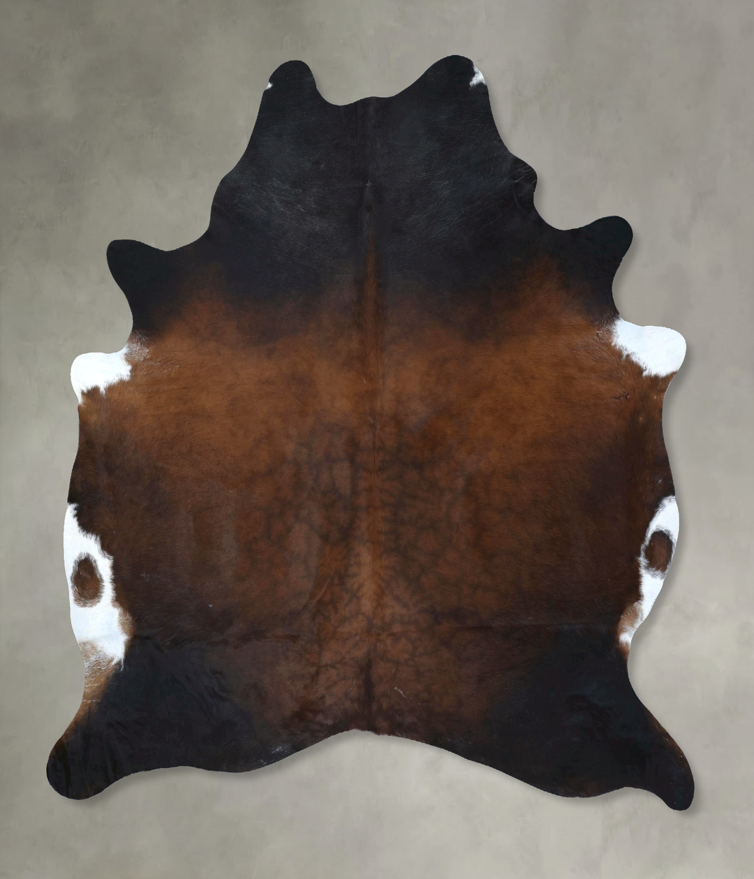 Warm Caramel XX-Large Brazilian Cowhide Rug 8'2"H x 6'10"W #B20638 by 