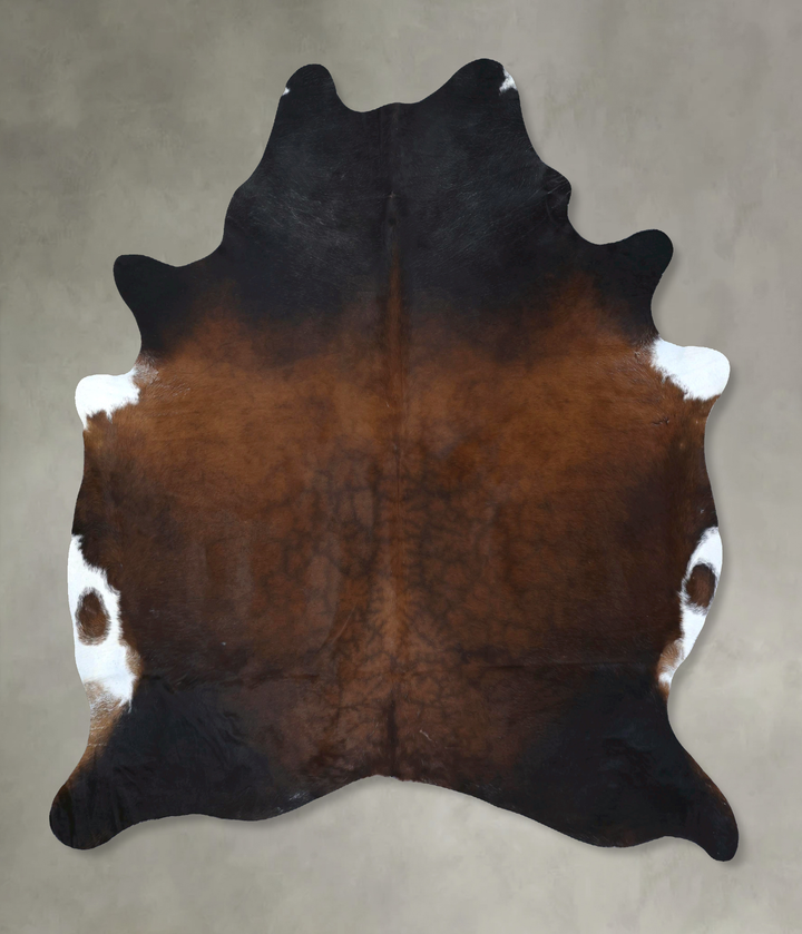 Warm Caramel XX-Large Brazilian Cowhide Rug 8'2"H x 6'10"W #B20638 by Hudson Hides