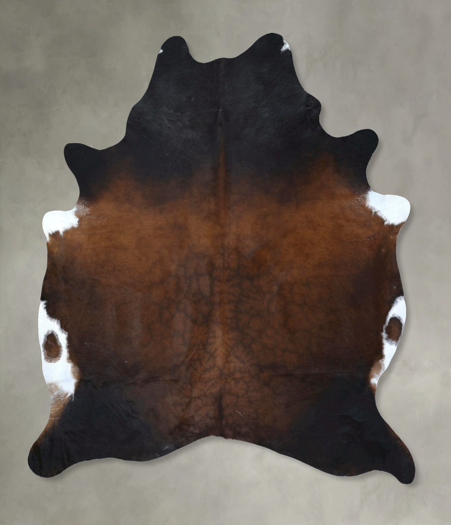 Warm Caramel XX-Large Brazilian Cowhide Rug 8'2"H x 6'10"W #B20638 by Hudson Hides