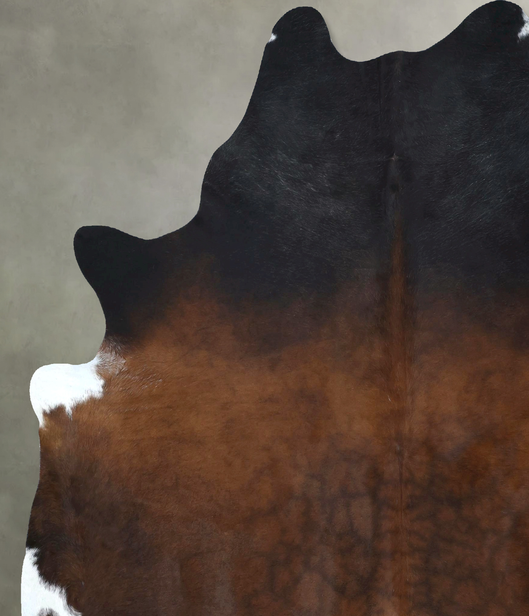 Warm Caramel XX-Large Brazilian Cowhide Rug 8'2"H x 6'10"W #B20638 by 